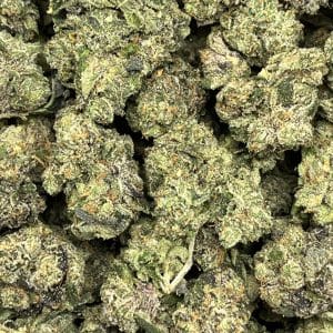 MINT CHOCOLATE CHIP smalls (MEGA STEAL) (SKULLS CUT) - Image 1